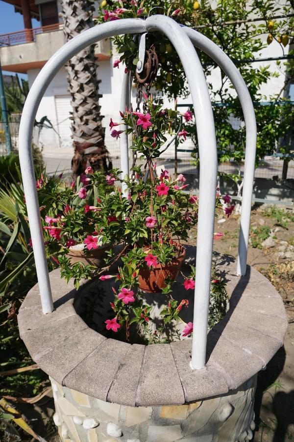 B&B Ciro Pompei Bagian luar foto
